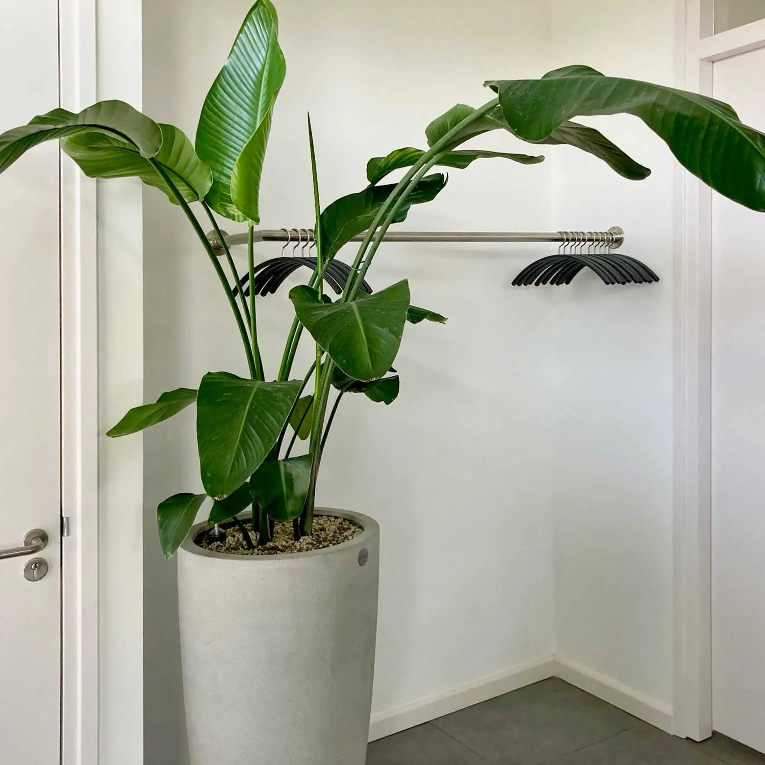 Wandgarderobe Lauvem rund Edelstahl freigestellt als Produktansicht dargestellt.