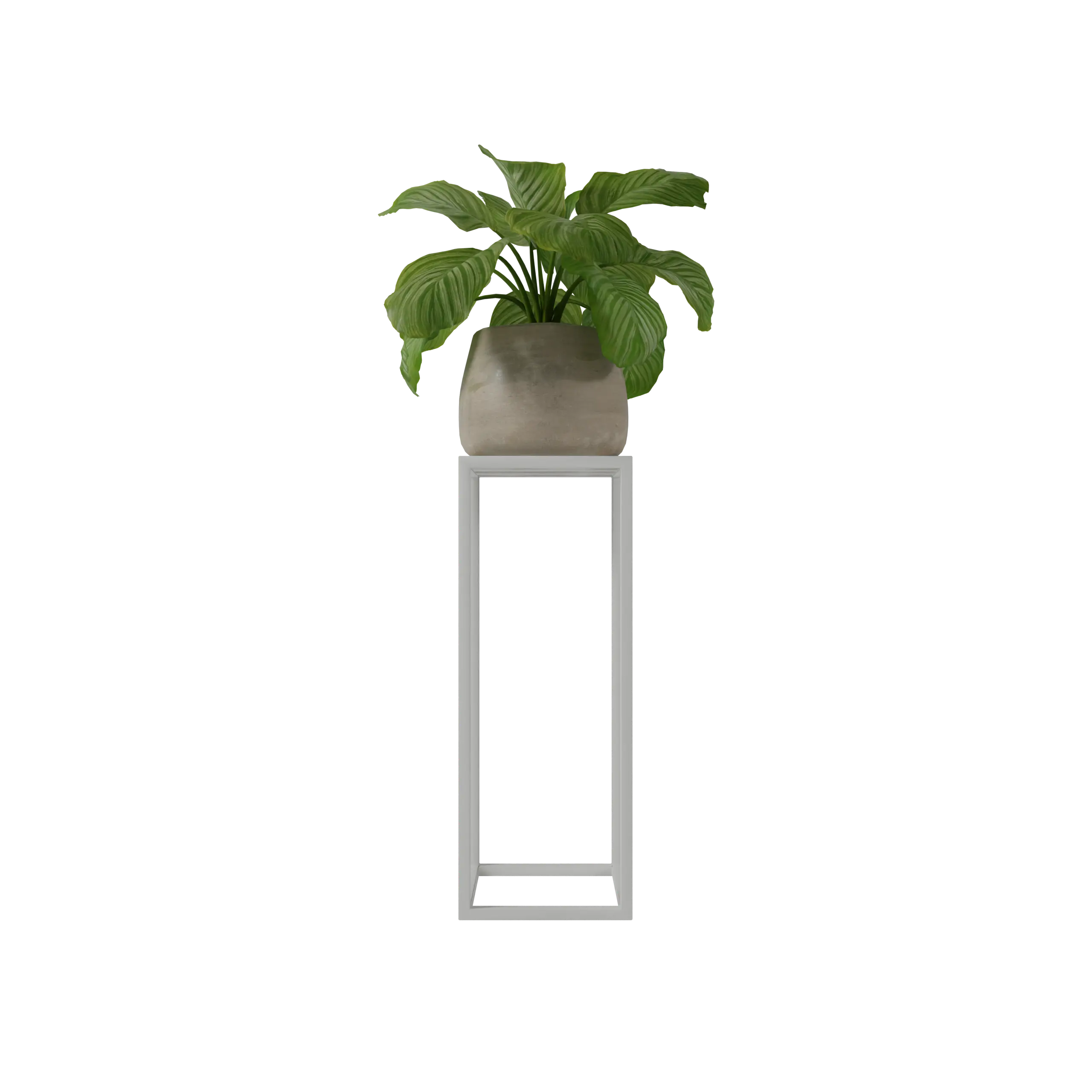 Sokkel Varlo vierkant wit vrijstaand weergegeven met plant op de sokkel.